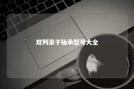 双列滚子轴承型号大全 